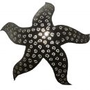 Aplique Estrella L