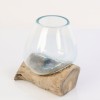 Terrario de cristal fundido sobre base de madera 8cm