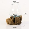 Terrario de cristal fundido sobre base de madera 15 cm