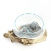 Bol de cristal fundido 25cm